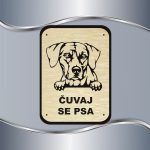 Tabla Čuvaj se psa - Rodezijski ridžbek - Slika 6